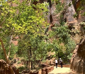 Inside Zion is a paved walkway surrounded by towering rock walls.