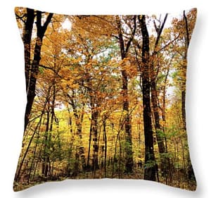 Here, the image on the pillow looks heavy with dark colors on the right side.