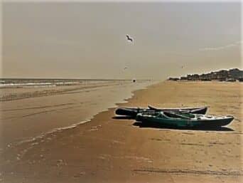 Where the land meets the water, there are two kayaks