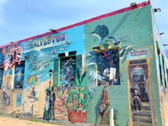 An entire wall covered in murals: images of plants, people, a tiger, a rainbow, a swordfish jumping. All individual images.