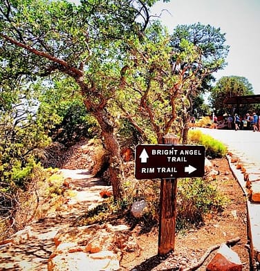 A fork in the road with a sign pointing straight ahead that says Bright Angel Trail and an arrow to the right that says Rim Trail. Bright Angel Trail actually goes DOWN into the Grand Canyon.