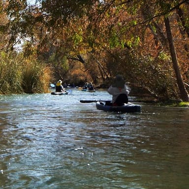 Several people in kayaks under a canopy of trees.