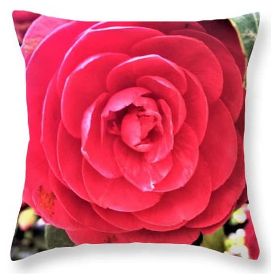 An image of a square pillow with an orange begonia filling the entire surface of the pillow.
