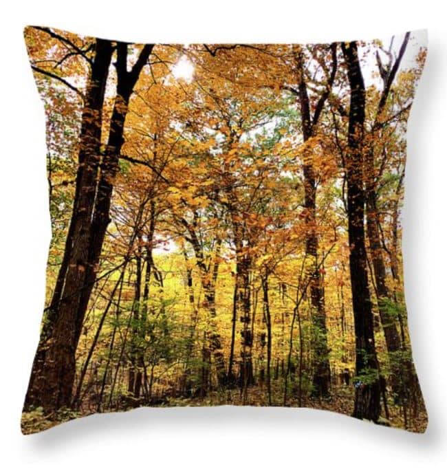Browns and Golds of Autumn trees on a square pillow: Here, the Left and Right are balanced because the image was moved over just a nanno-bit.