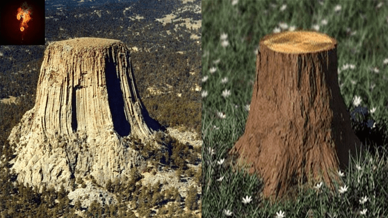 On the left is an image of Devils Tower. On the right is an image of a tree stump. They look a lot alike!