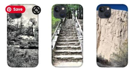 Several examples of how different images might look. Make your own carry case for galaxy or iphone.