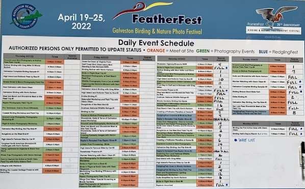 This is a chart showing the events available (and booked) over a 4 day period. Featherfest. Galveston Texas.