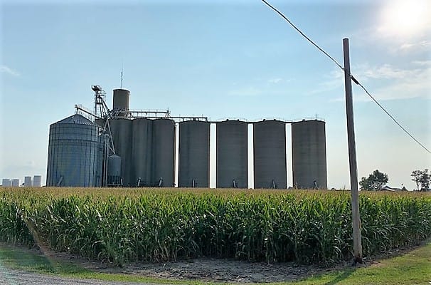 A field of tall corn plants with several silos and grain bins towering above it.